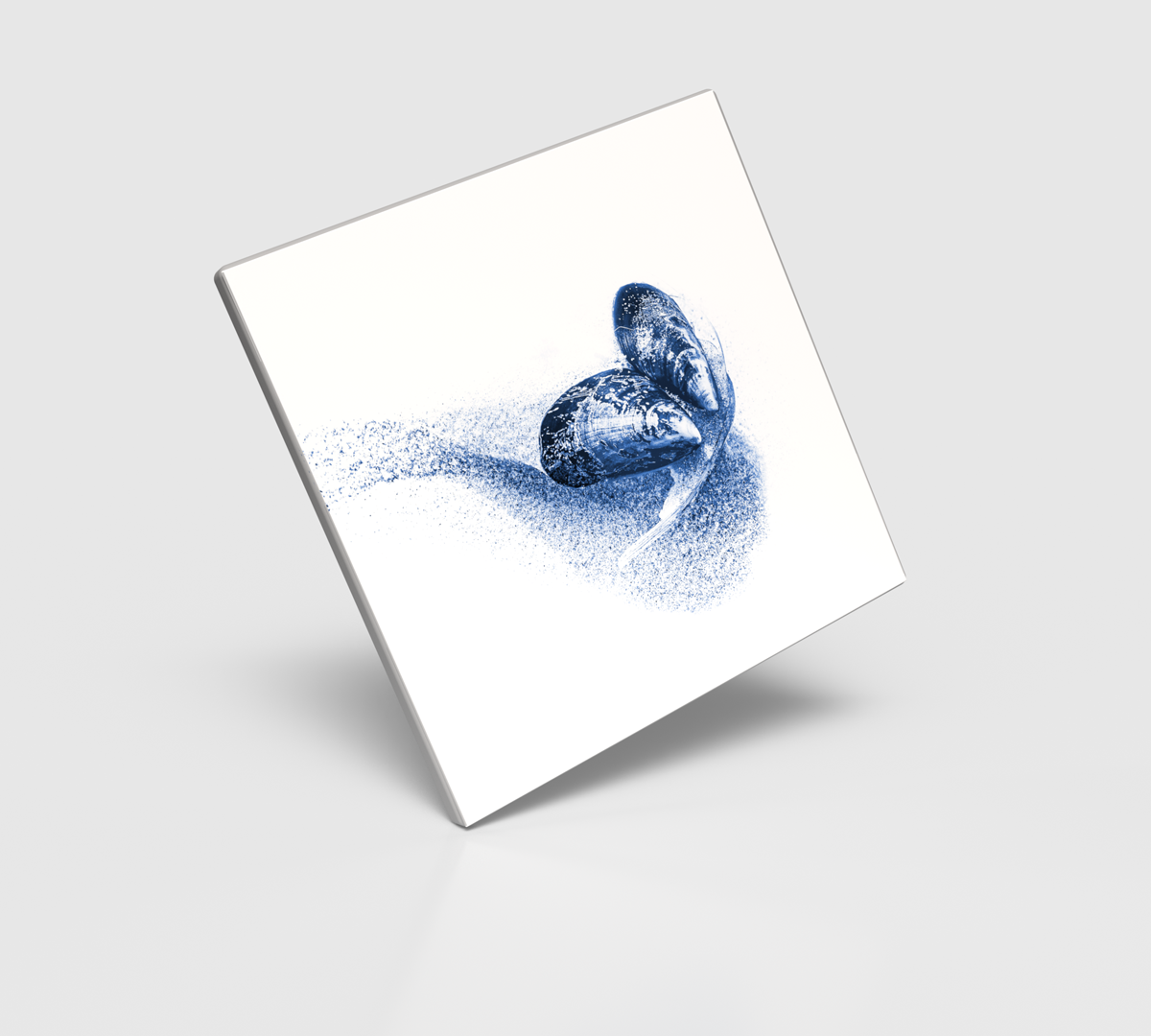 » Muschel«, Format 15x15 cm