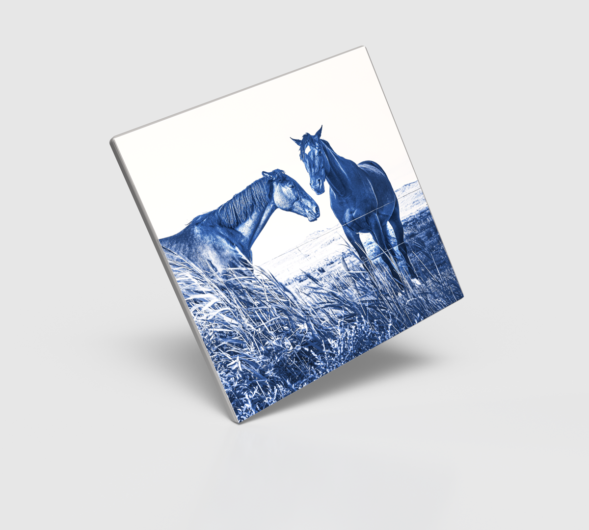 »Pferde«, Format 15x15 cm