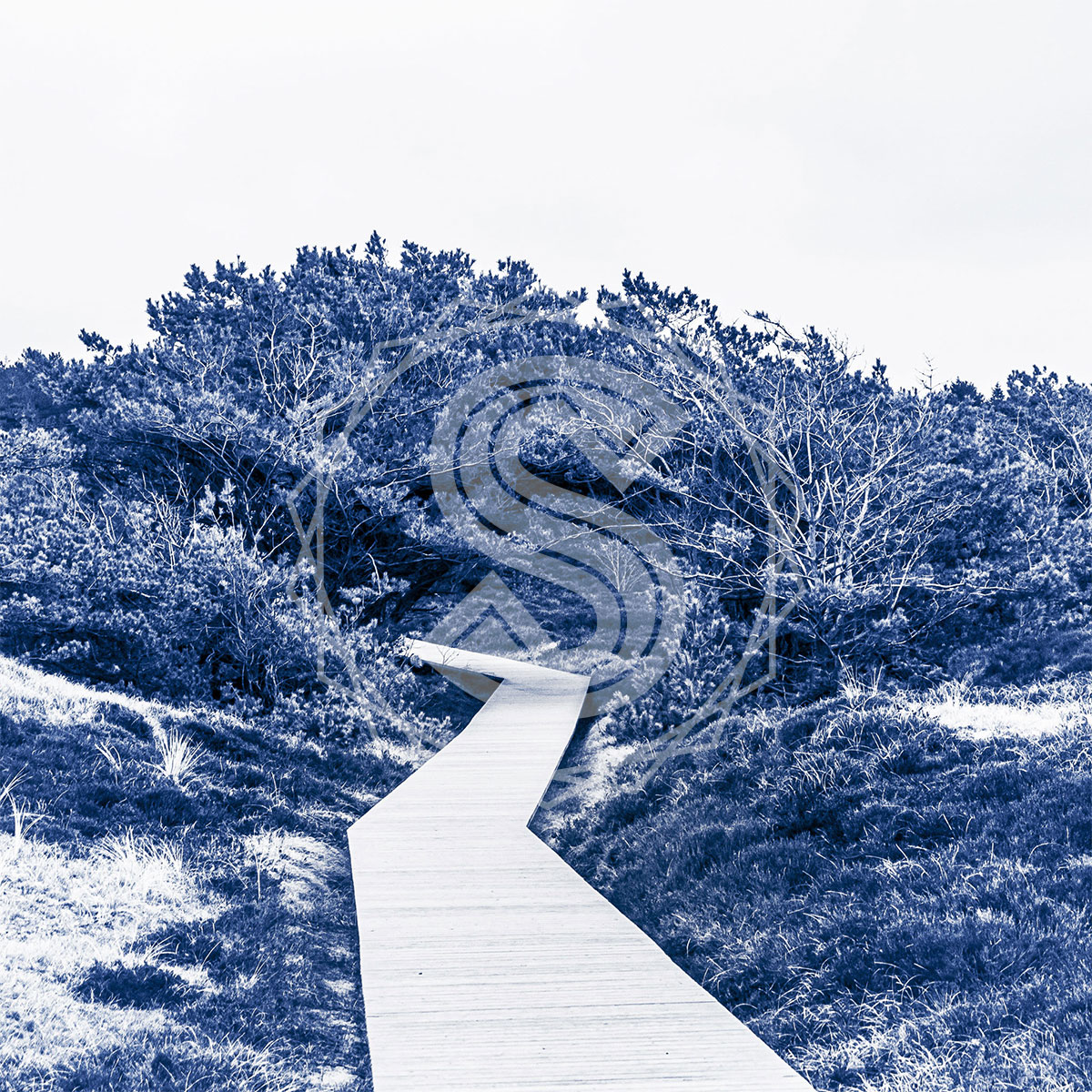 »Bohlenweg«, Format 15x15 cm